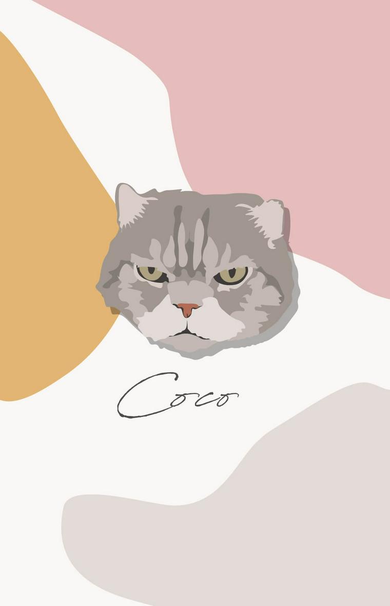 ココさんのイラスト