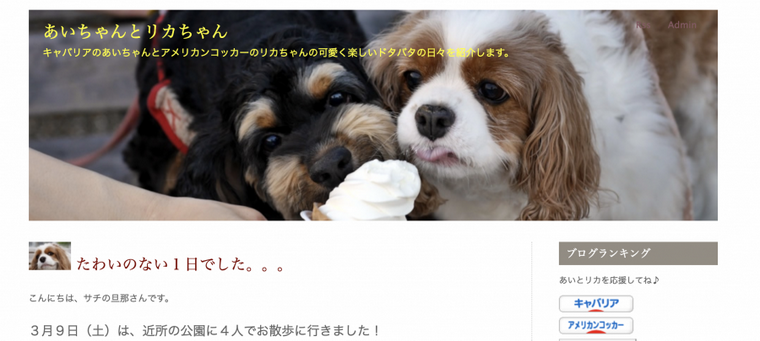 アメリカンコッカースパニエルキャバリア