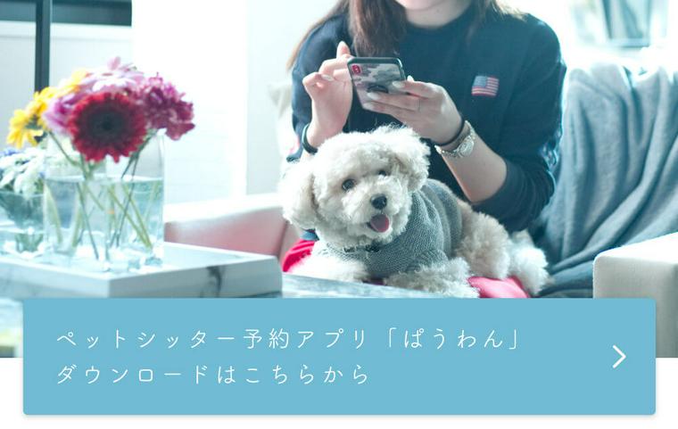 ペットシッター予約アプリ「ぱうわん」ダウンロードはこちらからボタン