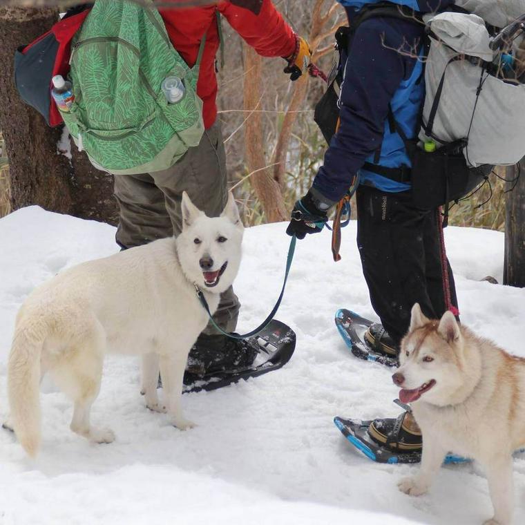 “犬とスノーシュツアー”