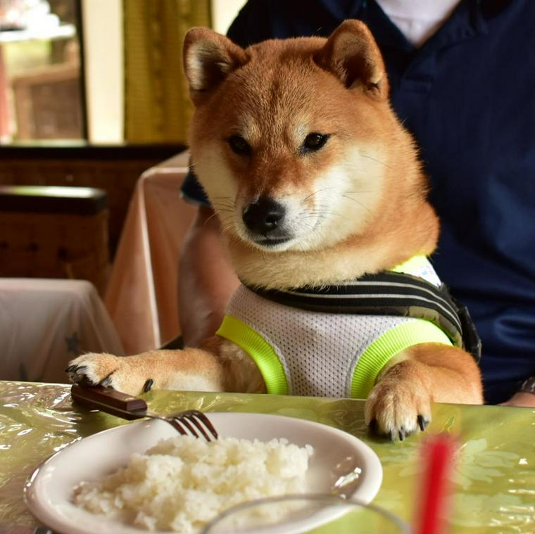 つくばのステーキハウス ソヌーテの写真