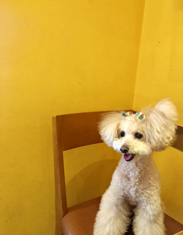 可愛い店内とサリーちゃん