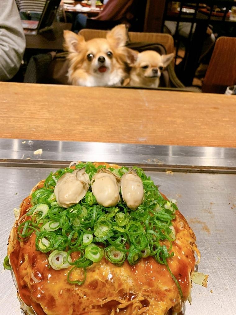 牡蠣のお好み焼き