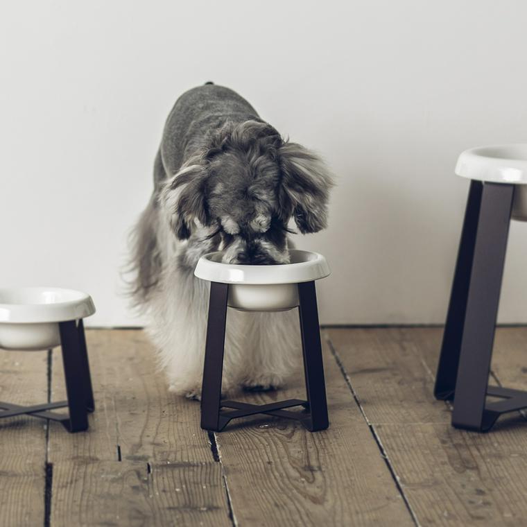 pecoloの犬のフードボール