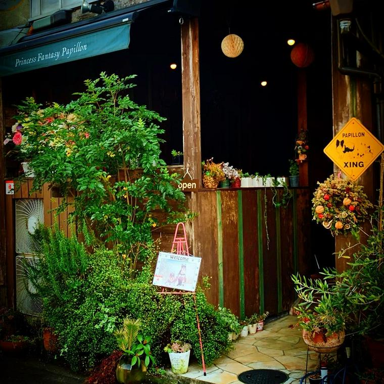 京都にあるドッグカフェのプリンセスファンタジー本店