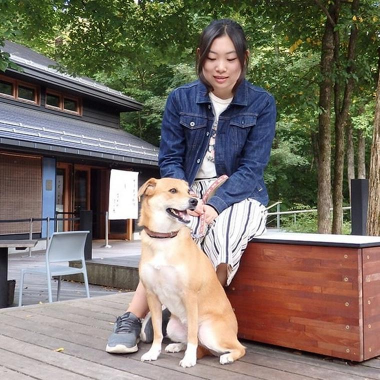 犬の車酔い対策 乗り物酔いの症状や原因を獣医師が解説 ペトコト