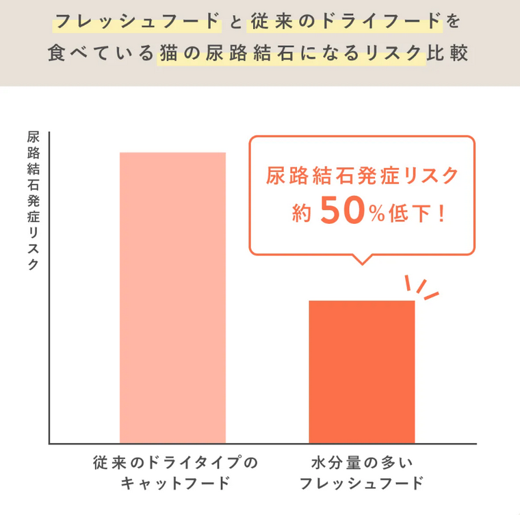 PETOKOTO FOODS for CATSと猫