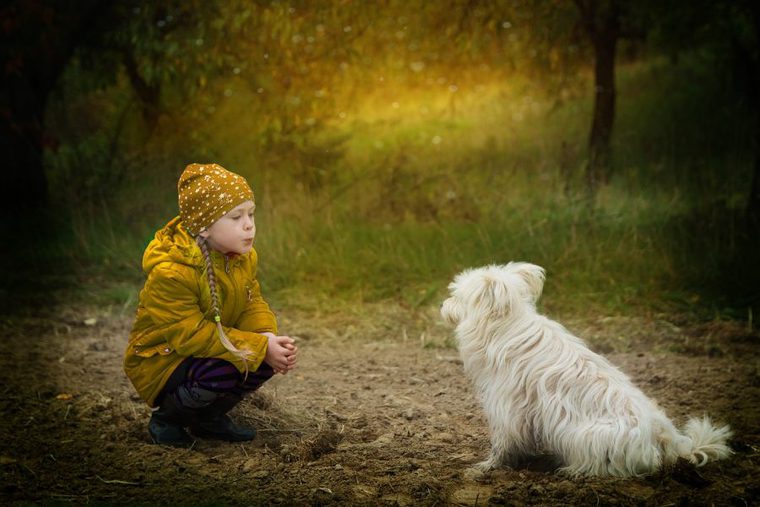 女の子と犬
