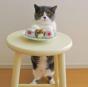 ホワイトデーチョコレート ネコモチーフ