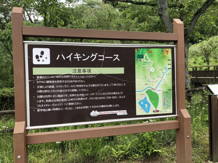 ハイキングコース