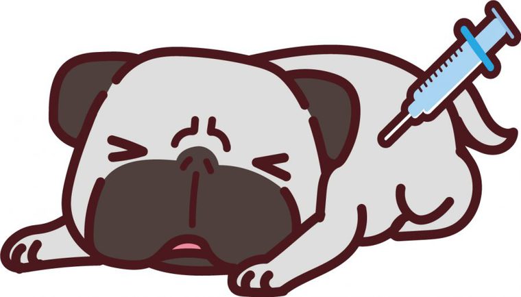 注射を打っている犬のイラスト