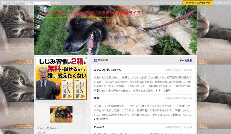 レオンベルガーのブログ