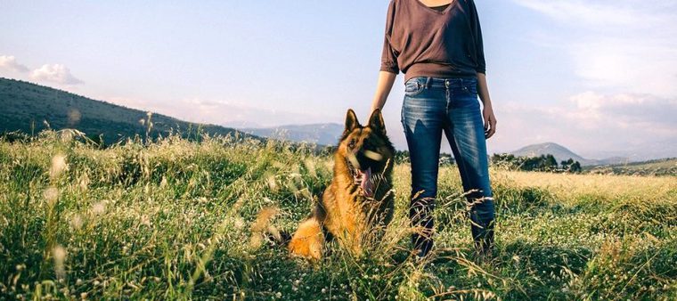 高原にいる女性と犬