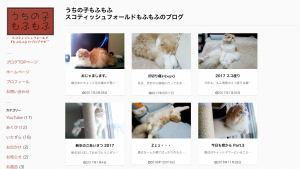 スコティッシュ・フォールドのブログ