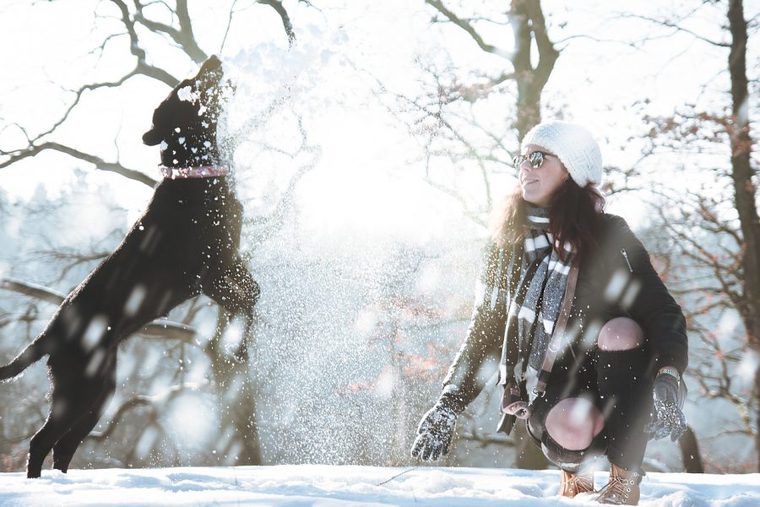 飼い主さんと雪遊びする犬