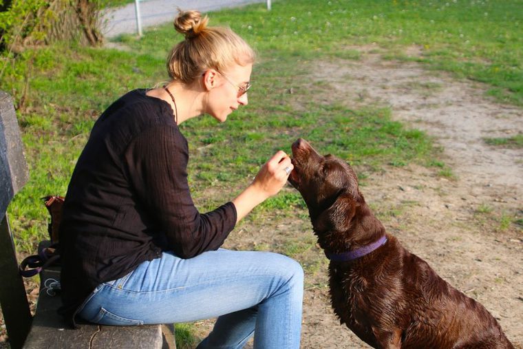 飼い主さんからおやつをもらう犬