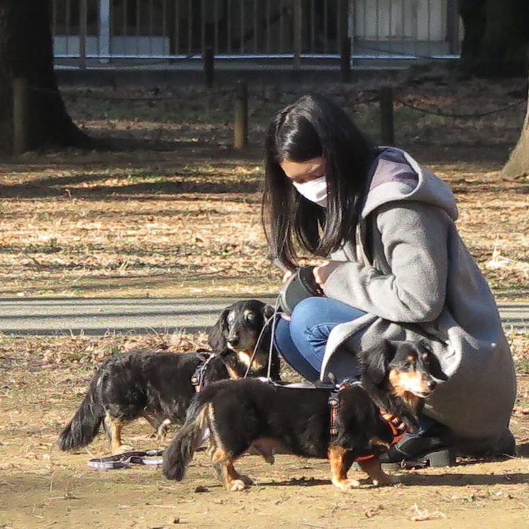 代々木公園で日向ぼっこ