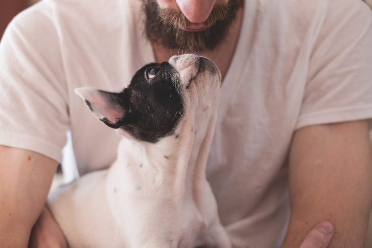 男性を見上げる犬