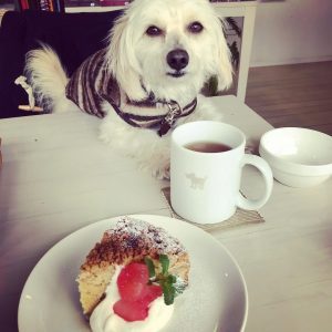 20180319_kitijyoujicafe_hh