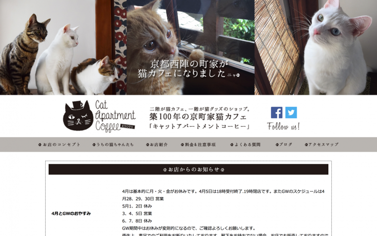 京町家猫カフェ