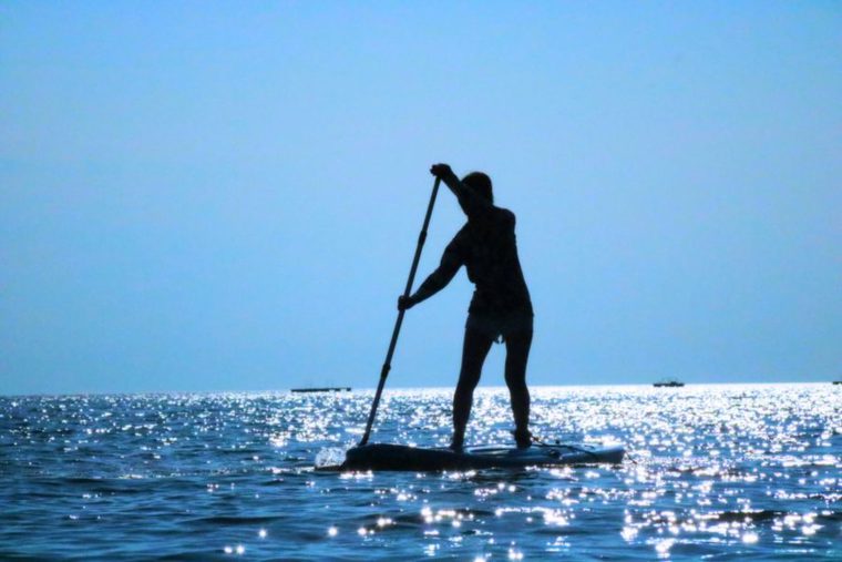 犬と遊べるSUP(サップ)