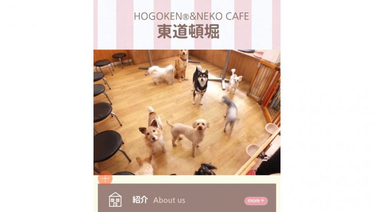 20180420_nanbacafe_hh_2