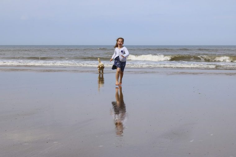 海岸を走る犬と子ども